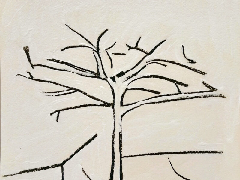 Uma Árvore e Uma Cerca na Ilha das Canárias is an abstract, minimalist, black and white charcoal drawing of a tree.