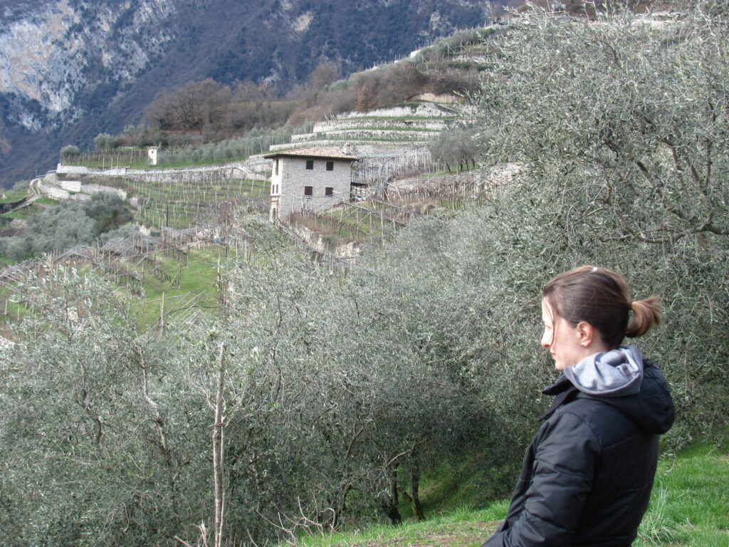 Admiring the view of the vineyards over Lago di Garda from Tenno.